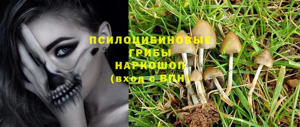 гидропоника Абдулино