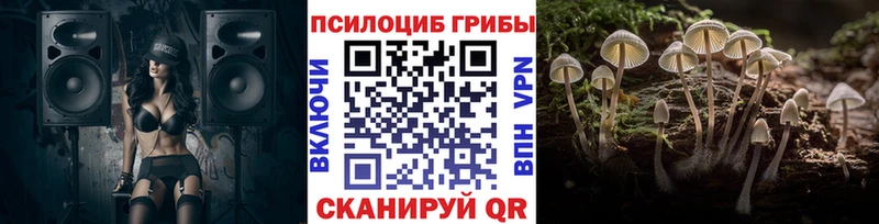 купить  цена  Тулун  Галлюциногенные грибы мухоморы 