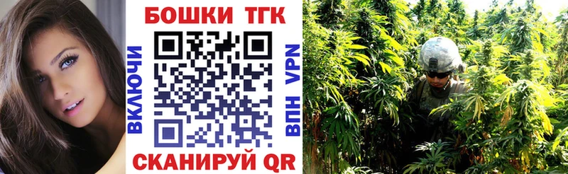 купить   Тулун  Бошки Шишки план 